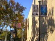 Boulevard banners Metairie Louisiana made for Lyle Lovett show